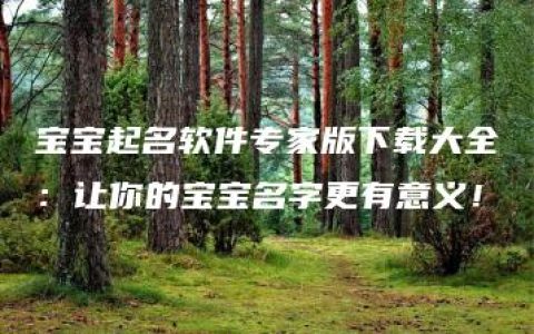 宝宝起名软件专家版下载大全：让你的宝宝名字更有意义！