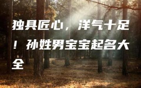 独具匠心，洋气十足！孙姓男宝宝起名大全