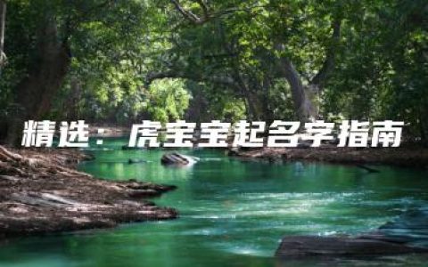 精选：虎宝宝起名字指南