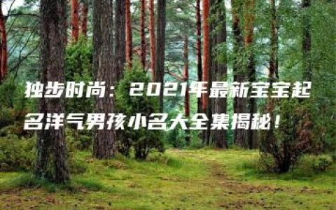 独步时尚：2021年最新宝宝起名洋气男孩小名大全集揭秘！