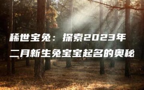 稀世宝兔：探索2023年二月新生兔宝宝起名的奥秘