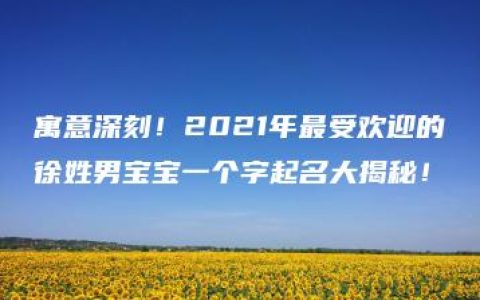 寓意深刻！2021年最受欢迎的徐姓男宝宝一个字起名大揭秘！