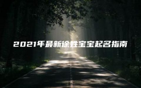 2021年最新徐姓宝宝起名指南