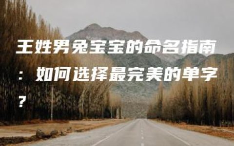 王姓男兔宝宝的命名指南：如何选择最完美的单字？