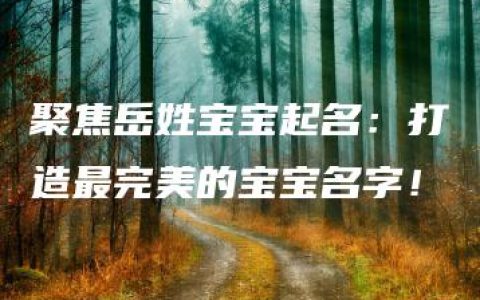 聚焦岳姓宝宝起名：打造最完美的宝宝名字！