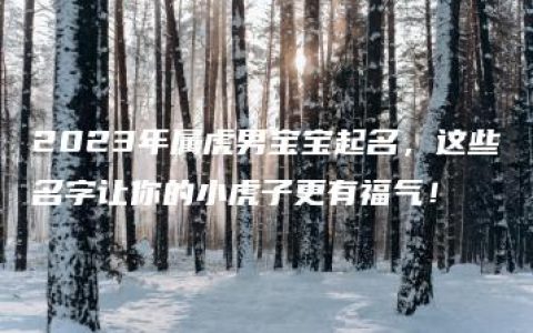 2023年属虎男宝宝起名，这些名字让你的小虎子更有福气！