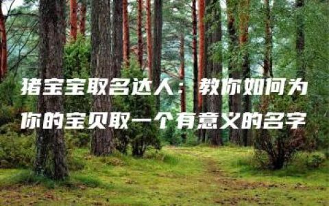 猪宝宝取名达人：教你如何为你的宝贝取一个有意义的名字