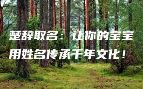 楚辞取名：让你的宝宝用姓名传承千年文化！