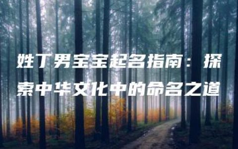 姓丁男宝宝起名指南：探索中华文化中的命名之道