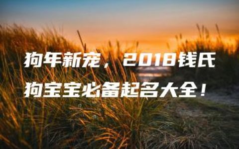 狗年新宠，2018钱氏狗宝宝必备起名大全！