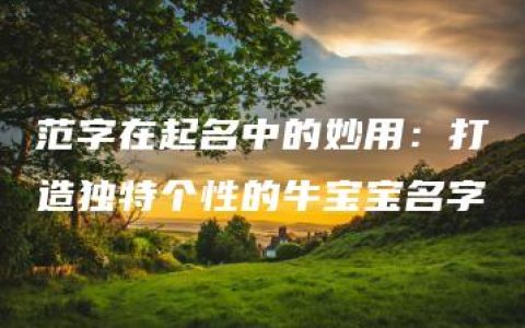 范字在起名中的妙用：打造独特个性的牛宝宝名字