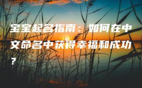 宝宝起名指南：如何在中文命名中获得幸福和成功？