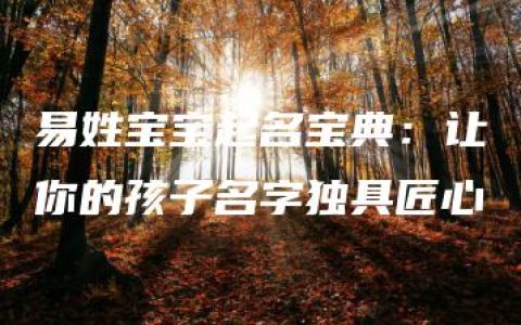 易姓宝宝起名宝典：让你的孩子名字独具匠心