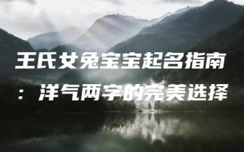 王氏女兔宝宝起名指南：洋气两字的完美选择