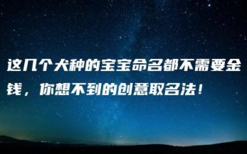 这几个犬种的宝宝命名都不需要金钱，你想不到的创意取名法！