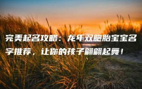 完美起名攻略：龙年双胞胎宝宝名字推荐，让你的孩子翩翩起舞！