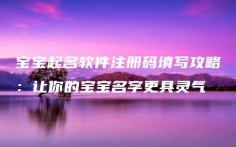 宝宝起名软件注册码填写攻略：让你的宝宝名字更具灵气