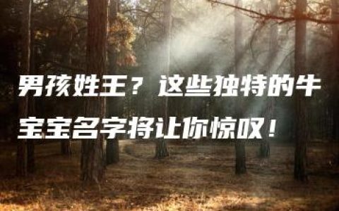 男孩姓王？这些独特的牛宝宝名字将让你惊叹！