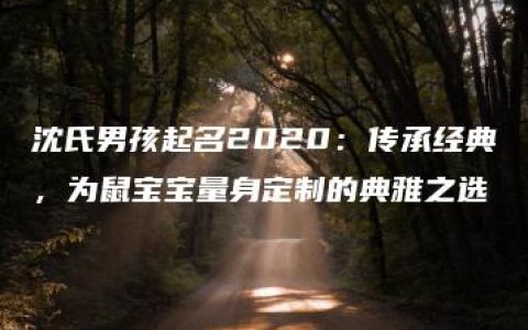 沈氏男孩起名2020：传承经典，为鼠宝宝量身定制的典雅之选