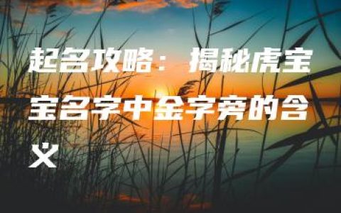 起名攻略：揭秘虎宝宝名字中金字旁的含义