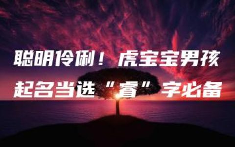 聪明伶俐！虎宝宝男孩起名当选“睿”字必备