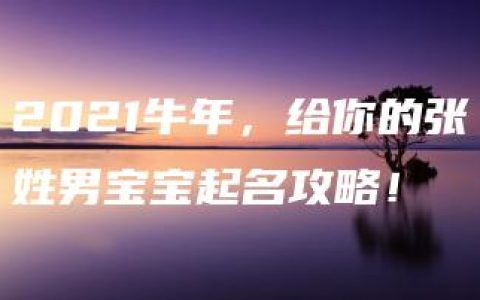 2021牛年，给你的张姓男宝宝起名攻略！