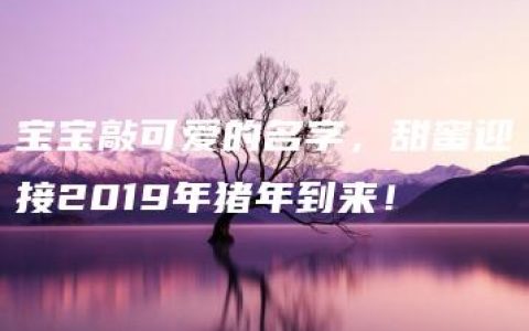 宝宝敲可爱的名字，甜蜜迎接2019年猪年到来！