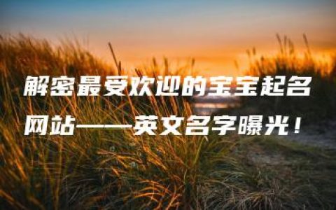 解密最受欢迎的宝宝起名网站——英文名字曝光！