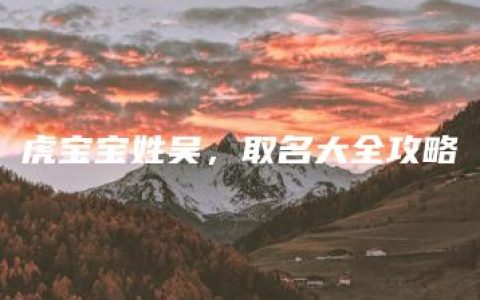 虎宝宝姓吴，取名大全攻略