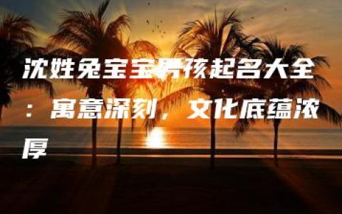 沈姓兔宝宝男孩起名大全：寓意深刻，文化底蕴浓厚