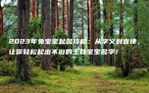 2023年兔宝宝起名攻略：从字义到音律，让你轻松起出不俗的王姓宝宝名字！