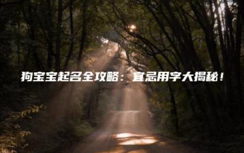 狗宝宝起名全攻略：宜忌用字大揭秘！