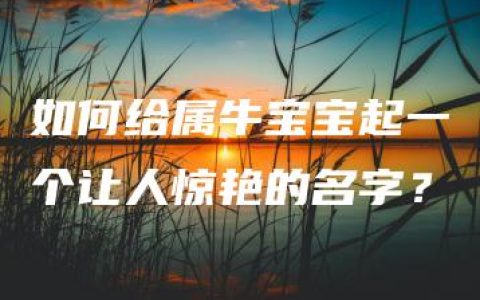 如何给属牛宝宝起一个让人惊艳的名字？