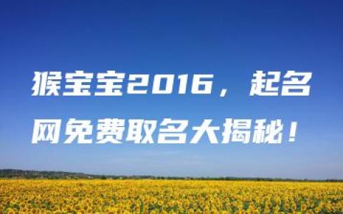 猴宝宝2016，起名网免费取名大揭秘！