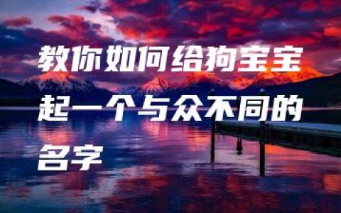 教你如何给狗宝宝起一个与众不同的名字