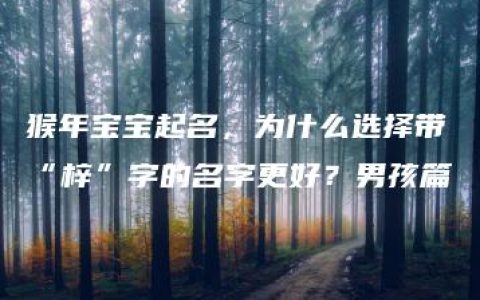 猴年宝宝起名，为什么选择带“梓”字的名字更好？男孩篇