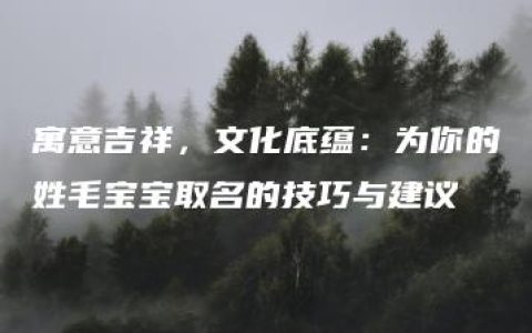 寓意吉祥，文化底蕴：为你的姓毛宝宝取名的技巧与建议