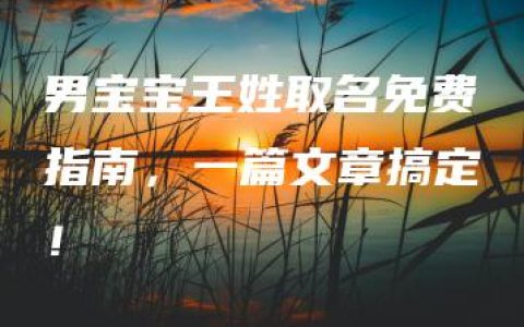 男宝宝王姓取名免费指南，一篇文章搞定！