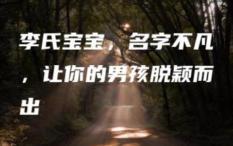 李氏宝宝，名字不凡，让你的男孩脱颖而出