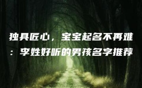 独具匠心，宝宝起名不再难：李姓好听的男孩名字推荐