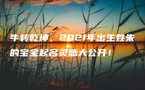 牛转乾坤，2021年出生姓朱的宝宝起名灵感大公开！