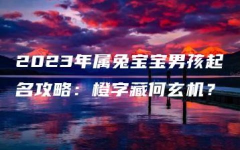 2023年属兔宝宝男孩起名攻略：橙字藏何玄机？