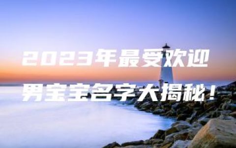 2023年最受欢迎男宝宝名字大揭秘！