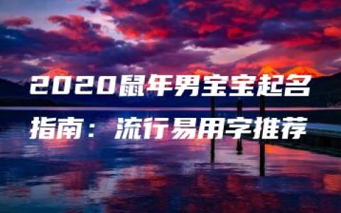 2020鼠年男宝宝起名指南：流行易用字推荐