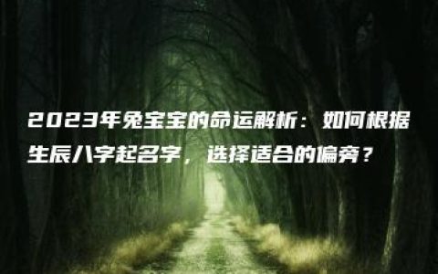 2023年兔宝宝的命运解析：如何根据生辰八字起名字，选择适合的偏旁？