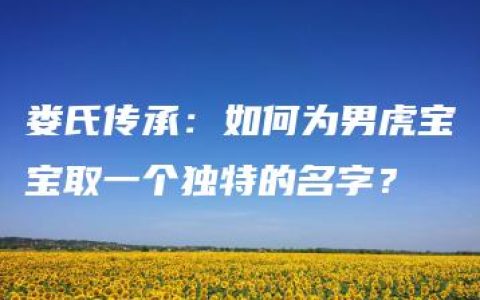 娄氏传承：如何为男虎宝宝取一个独特的名字？