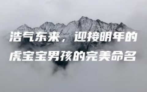 浩气东来，迎接明年的虎宝宝男孩的完美命名