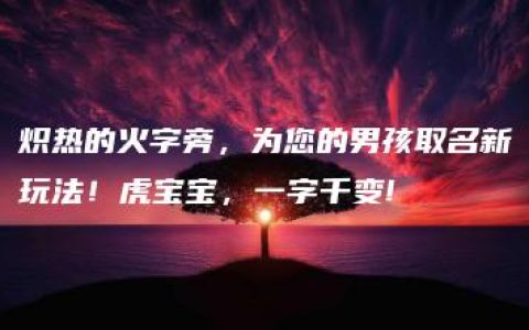 炽热的火字旁，为您的男孩取名新玩法！虎宝宝，一字千变!