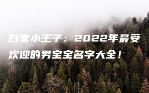 白家小王子：2022年最受欢迎的男宝宝名字大全！