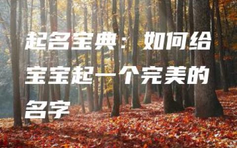 起名宝典：如何给宝宝起一个完美的名字